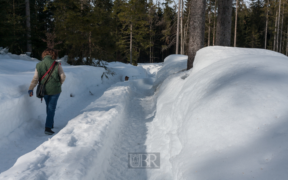 Spaziergang im hohen Schnee