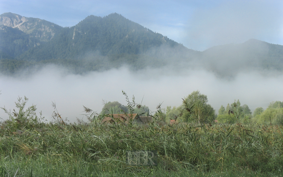 Morgennebel vor See und Bergen