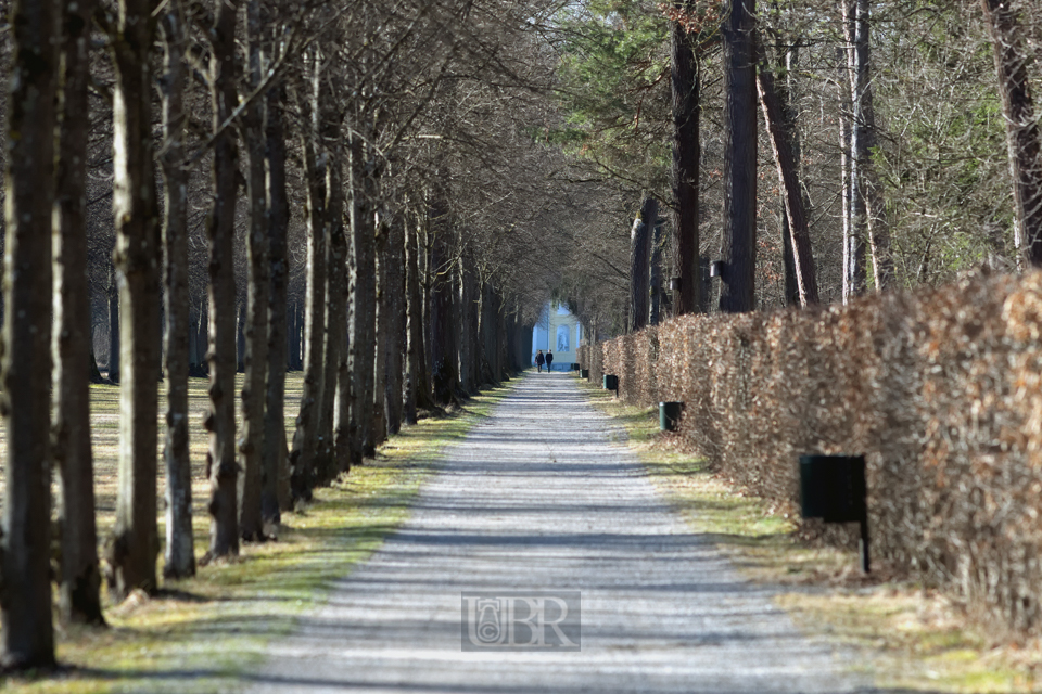 Spaziergänge im Schlossgarten