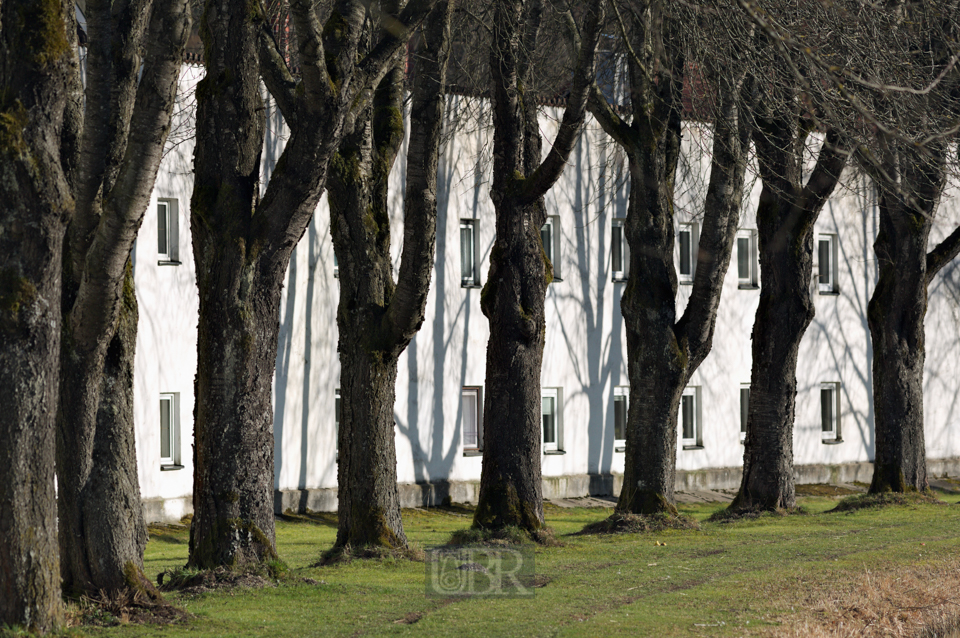 Spaziergänge im Schlossgarten