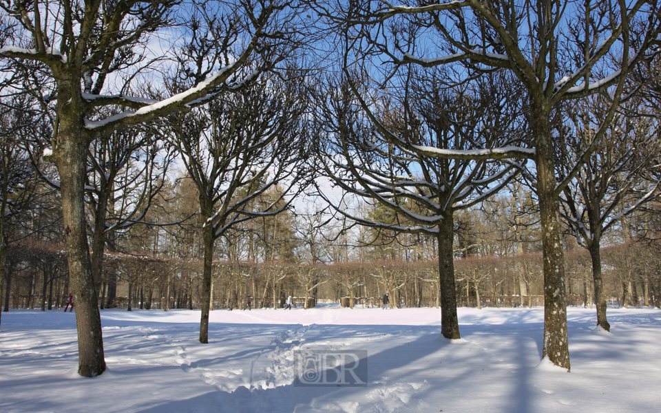 Spaziergänge im Schlossgarten