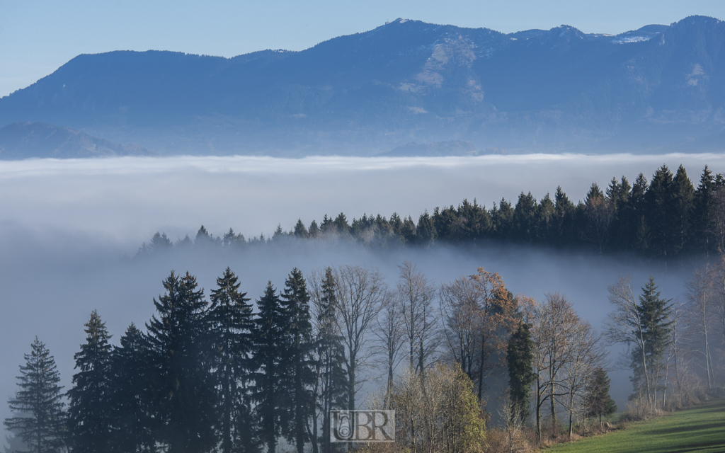 nebel_november_04