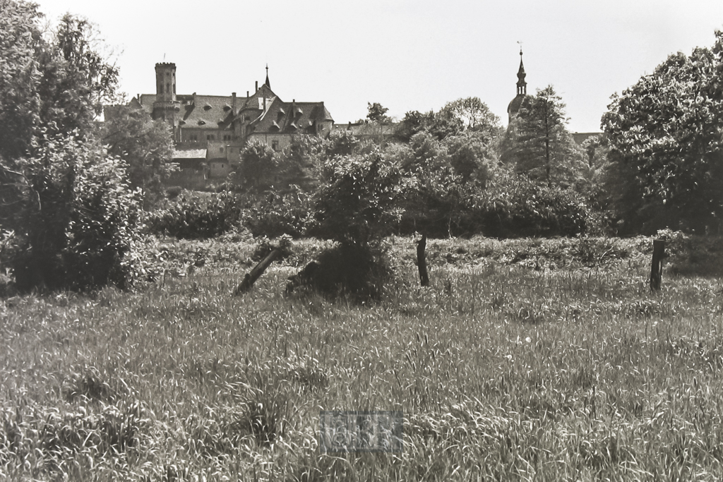 Dorfteich in Püchau