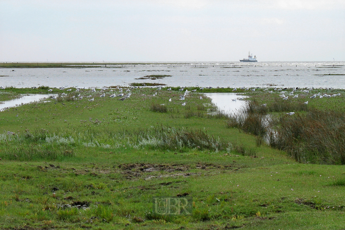 03_es_gruent_so_gruen_13_juist_suedstrand