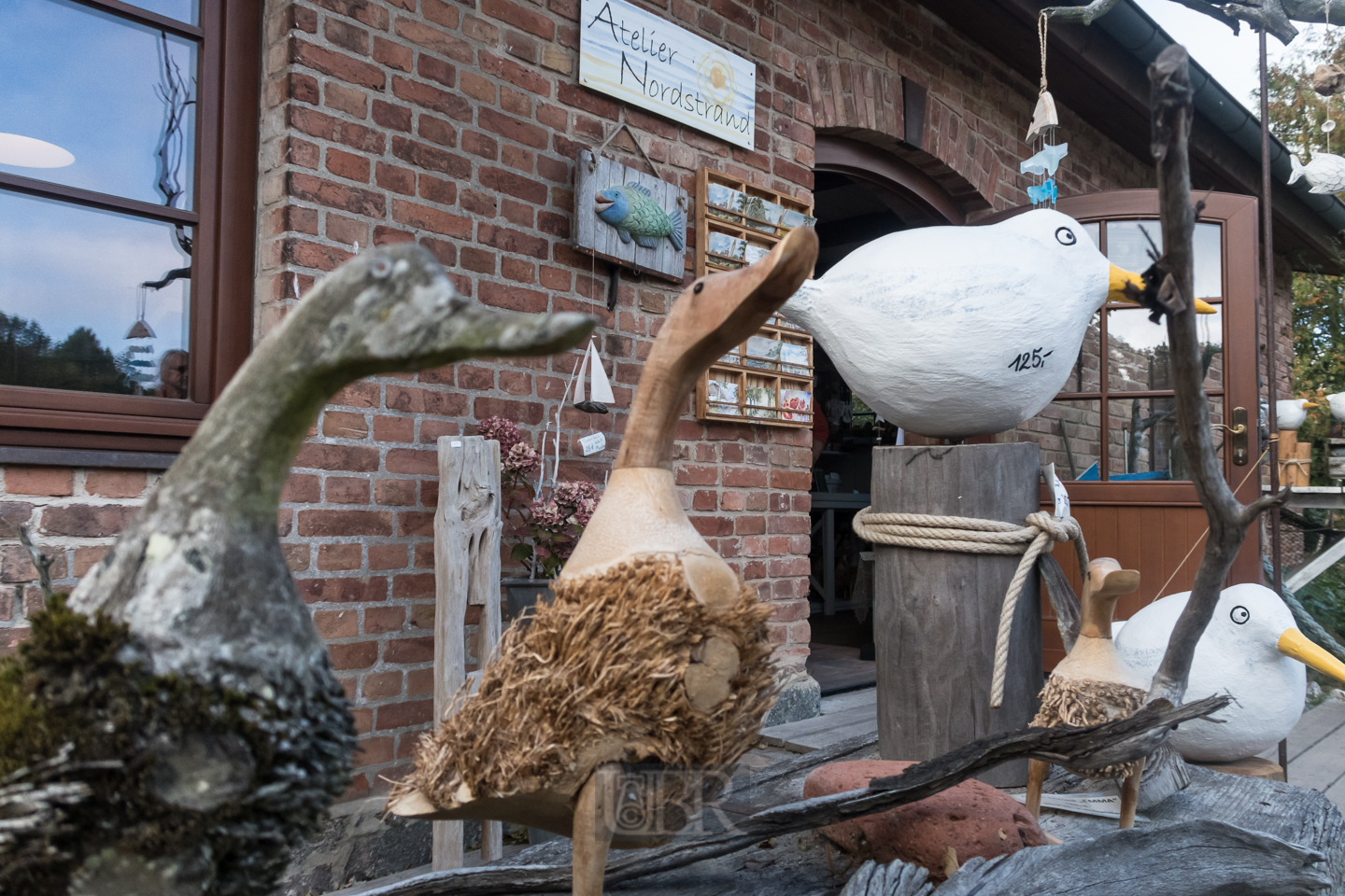 Natur und Kultur auf Hiddensee und Rügen