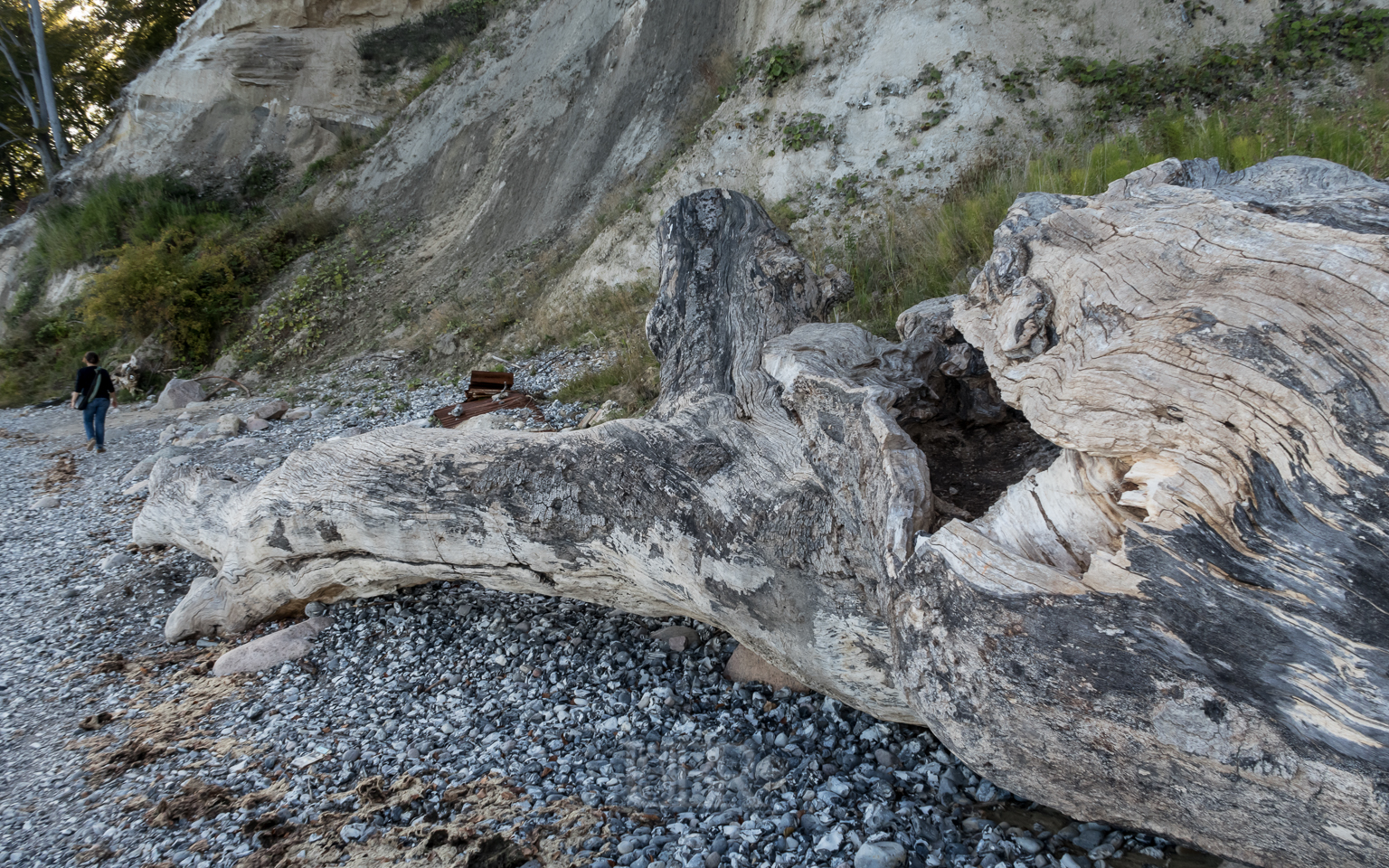Strandgut - 'natur' oder künstlerisch bearbeitet