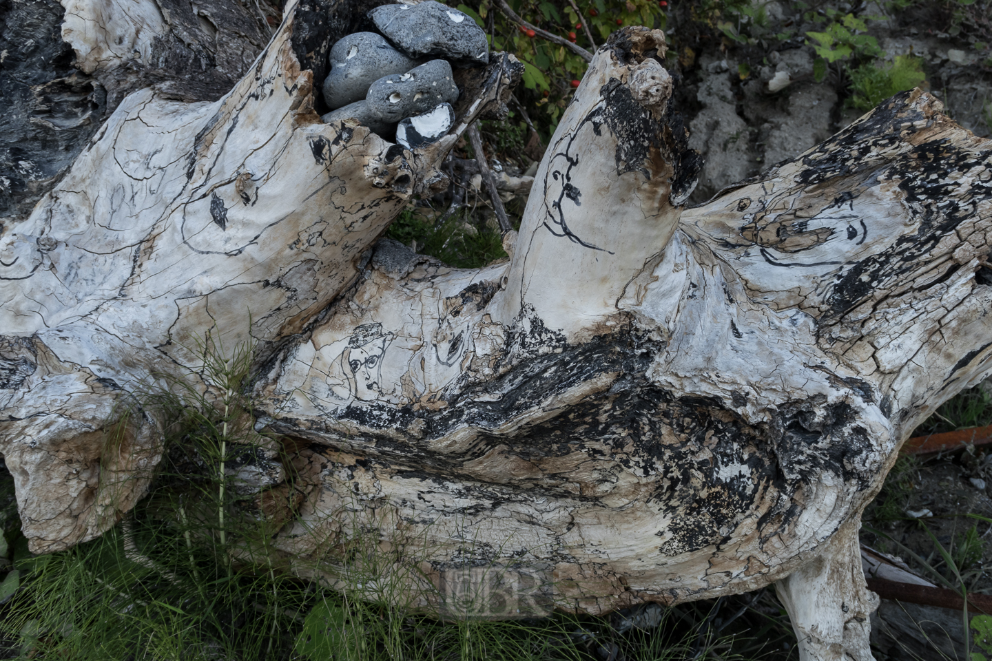 Strandgut - 'natur' oder künstlerisch bearbeitet