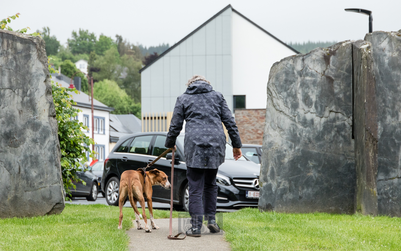 tiere_pflanzen_ardennen_3