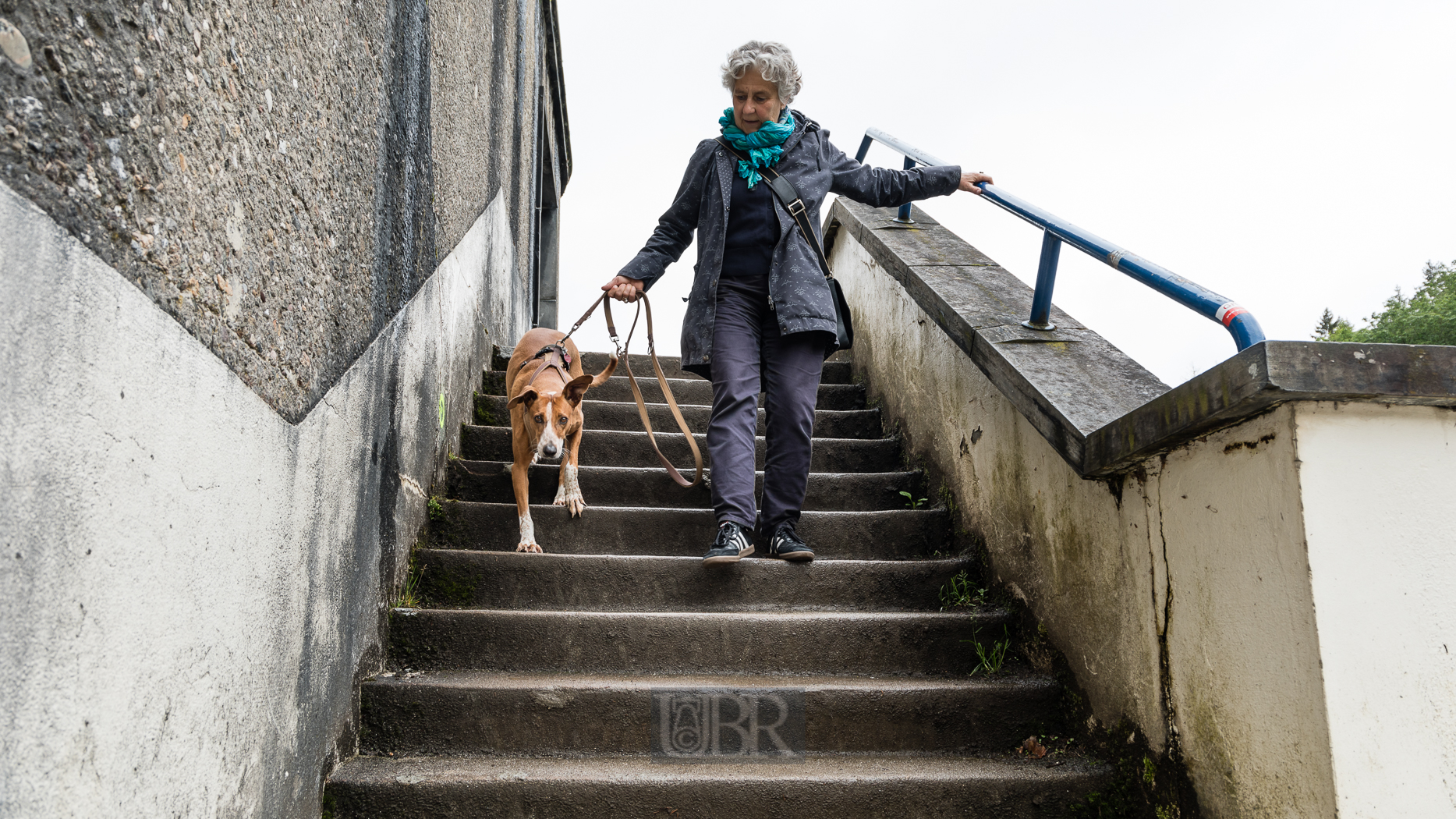 tiere_pflanzen_ardennen_4