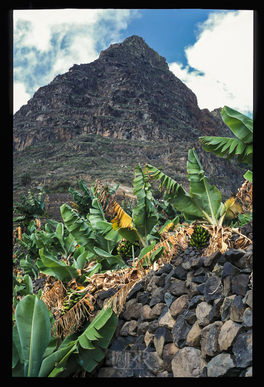 Image49