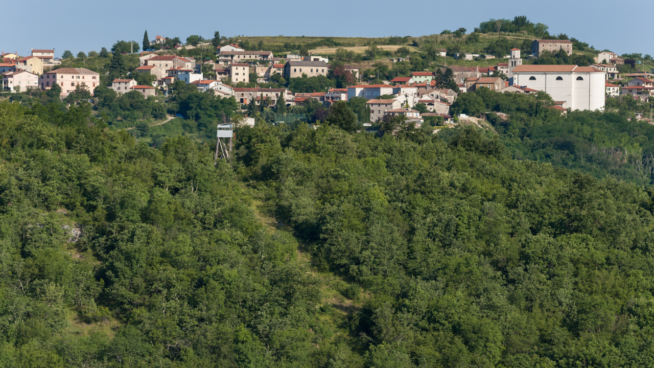 Rundblicke in die Hügellandschaft  der Halbinsel Istrien