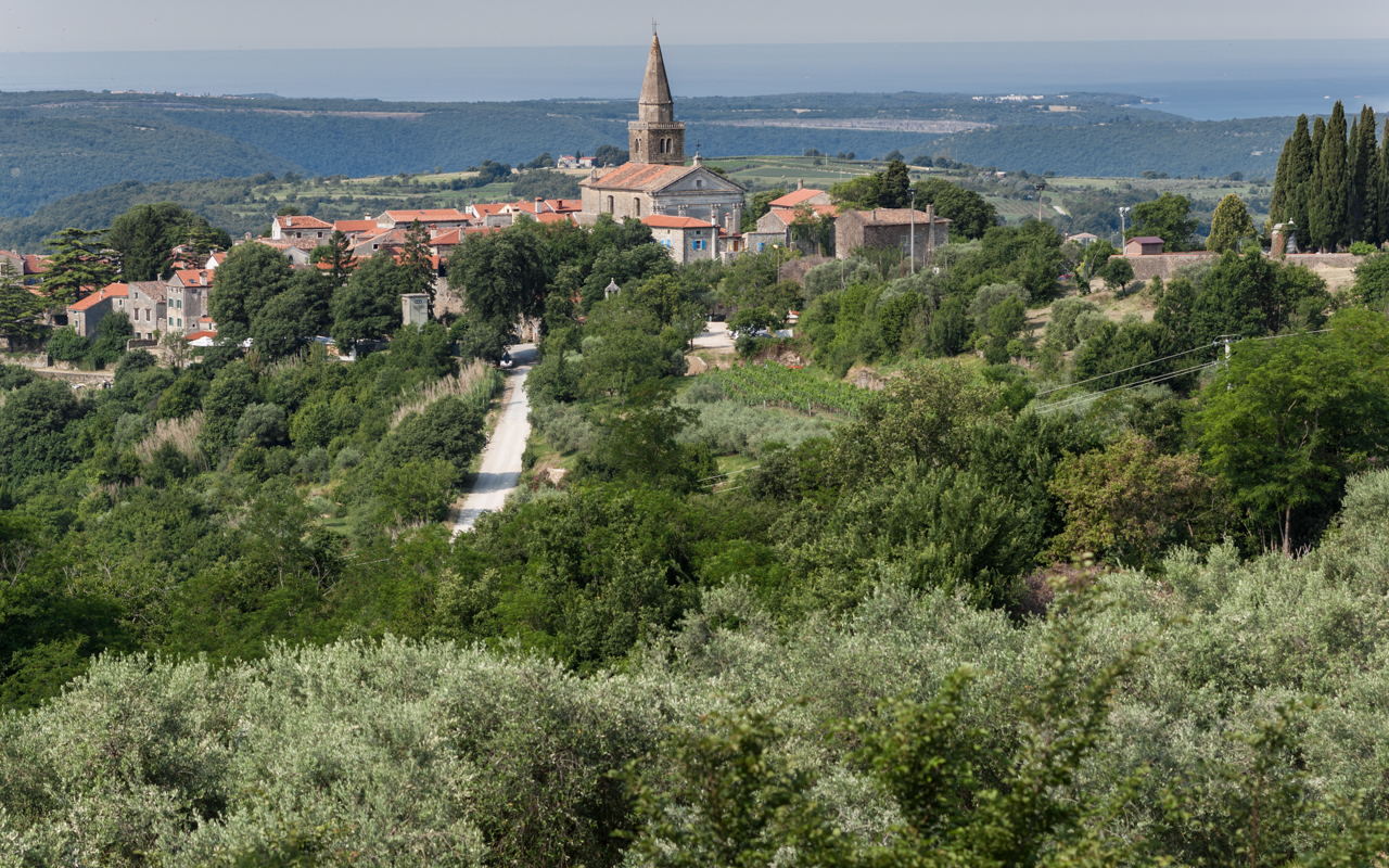 In Grozjan - einem schönen alten Örtchen - 300m über dem Mirna-Tal