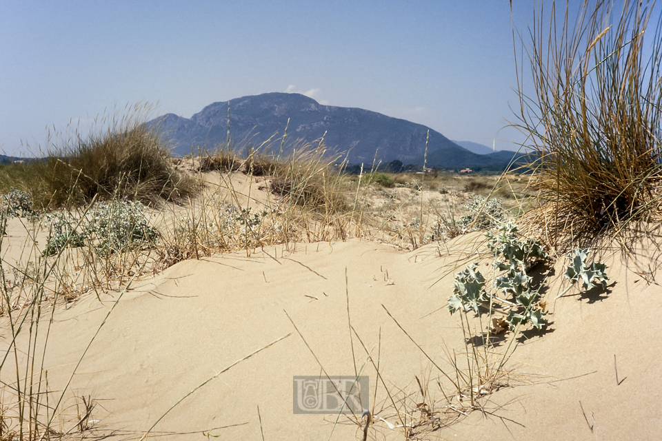 landschaft_06_sandduenen