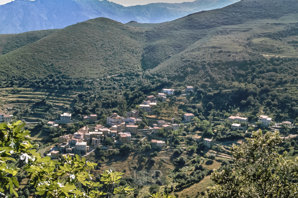 kor2001_05_bergundtal_10_moltifao_001