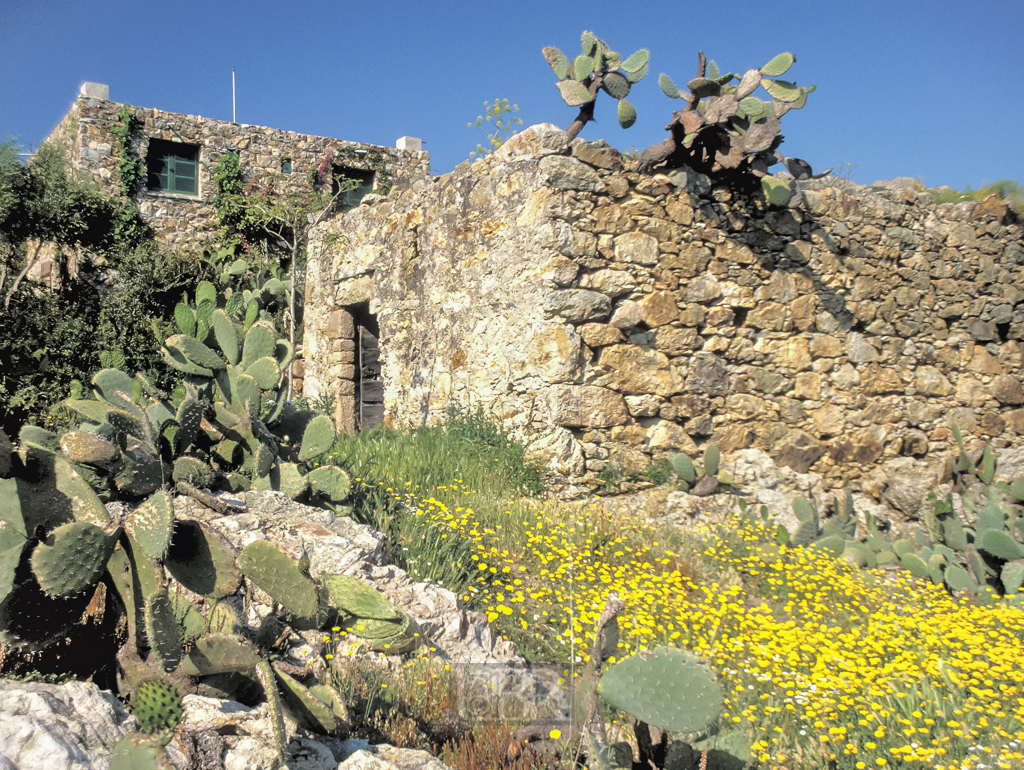 kor91_003_haus_offen_02