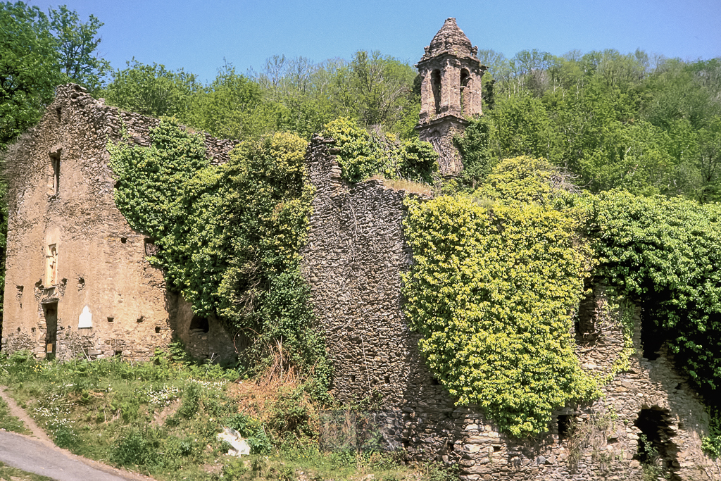 kor91_010_ruine_zugewachsen