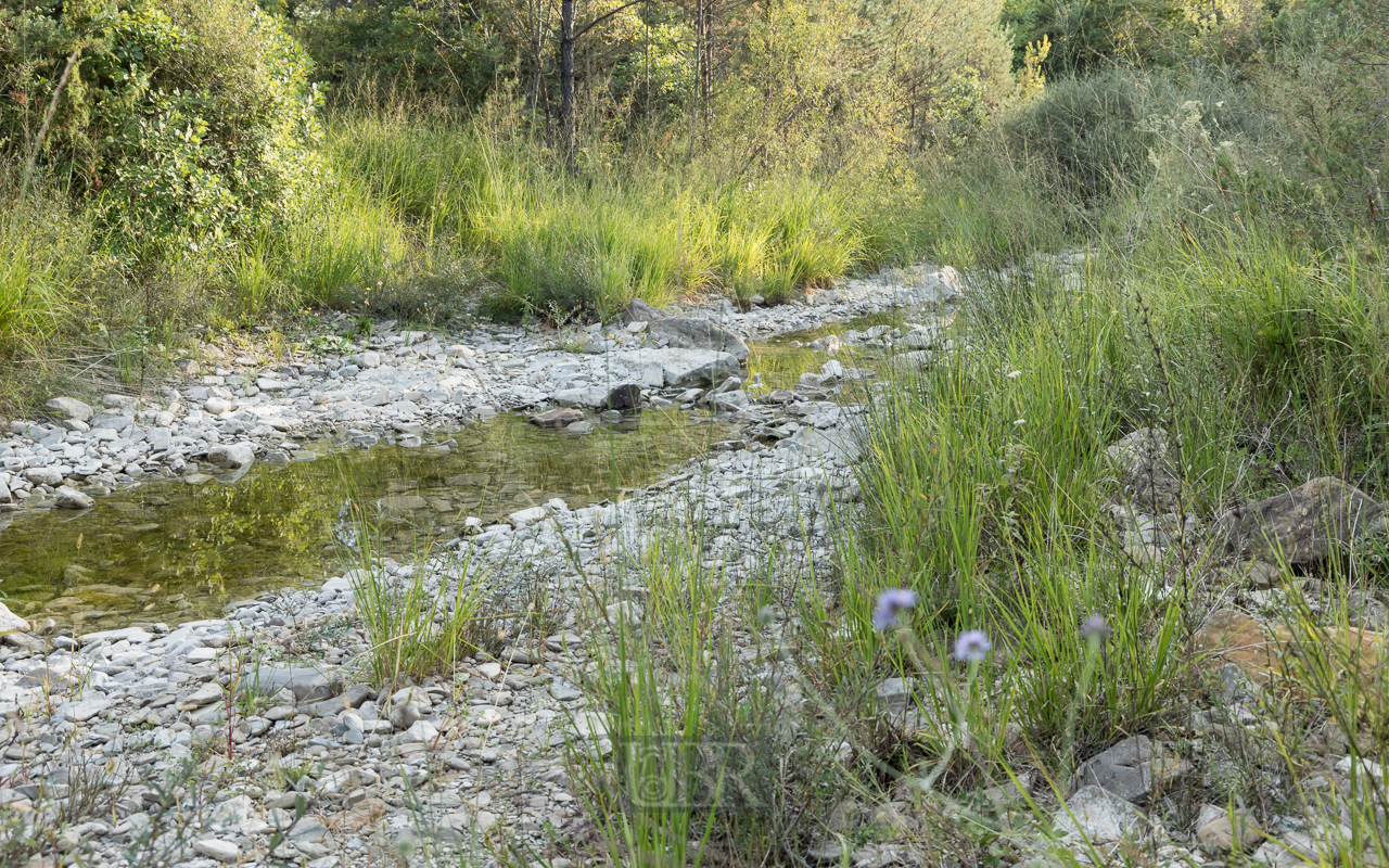 Ein Bach, der im Sommer gemächlich fließt oder ganz trocken ist