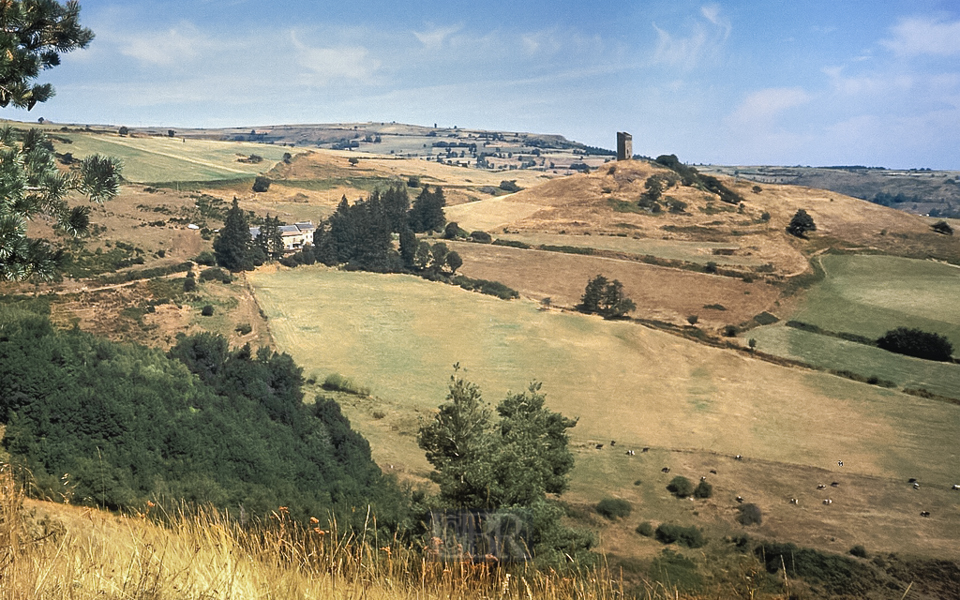 Hochsommer in der Auvergne