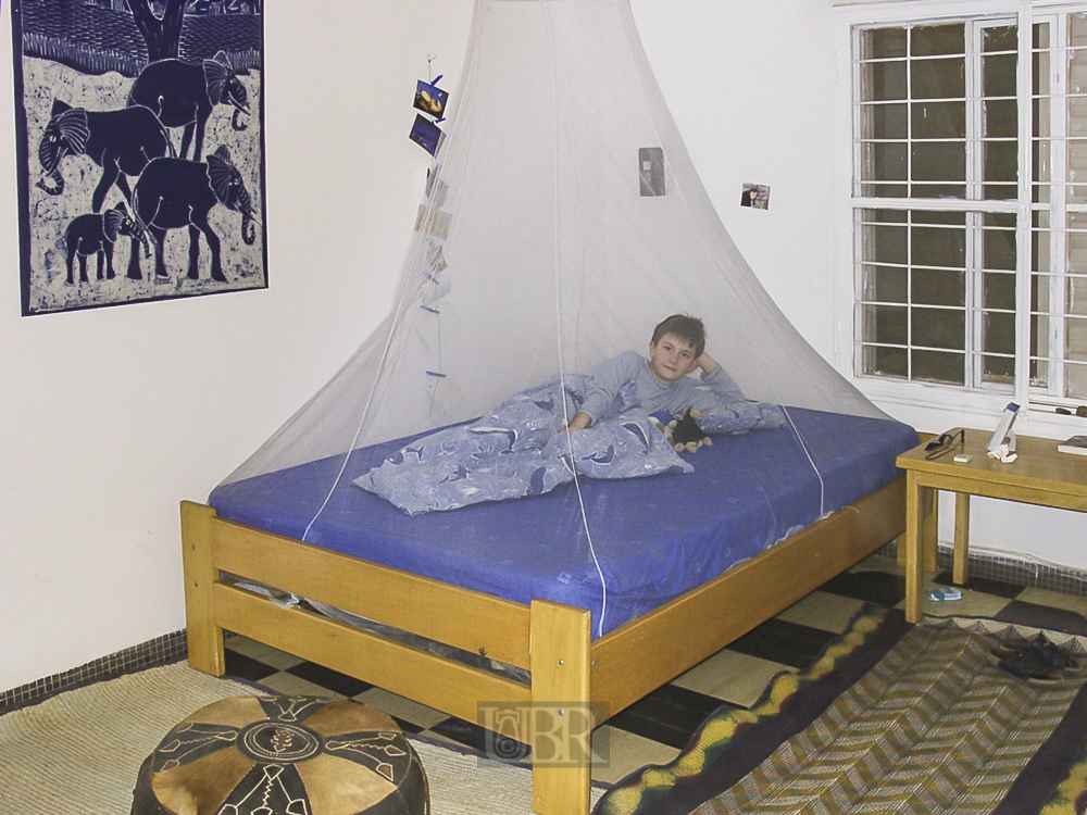 08_jasper_bett