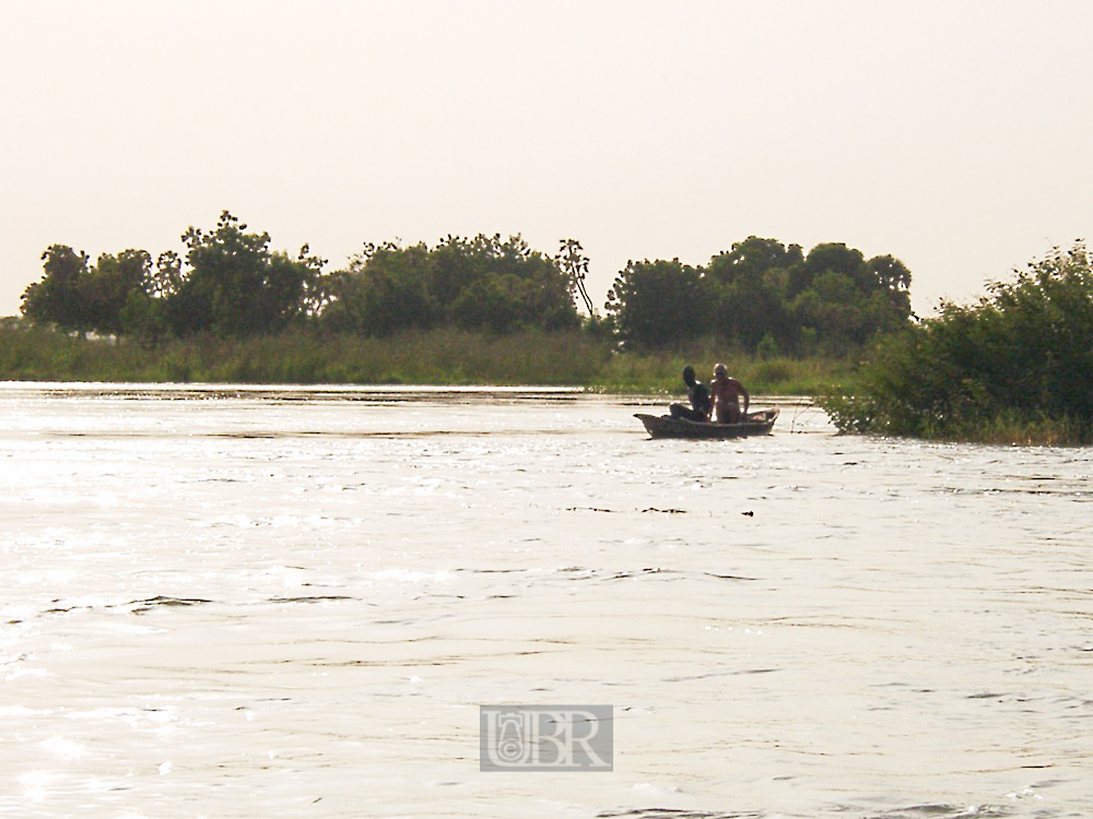 hippo_04_watcher