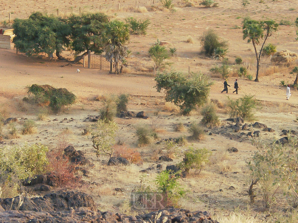 01_am_niger_02