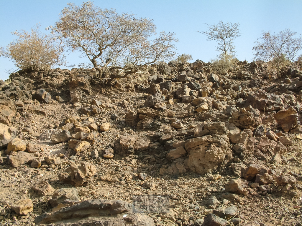 sahel_landschaft_18
