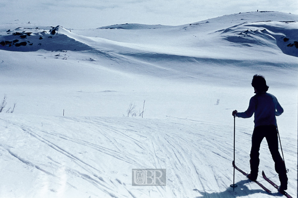 norwegen_78_81_04