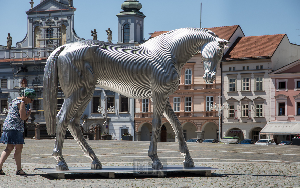 Ceske Budejovice (Budweis) - Tiere in der Stadt