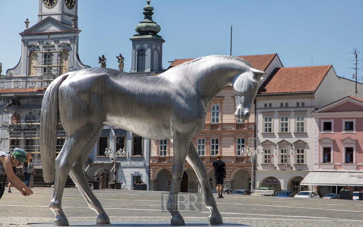 Ceske Budejovice (Budweis) - Tiere in der Stadt