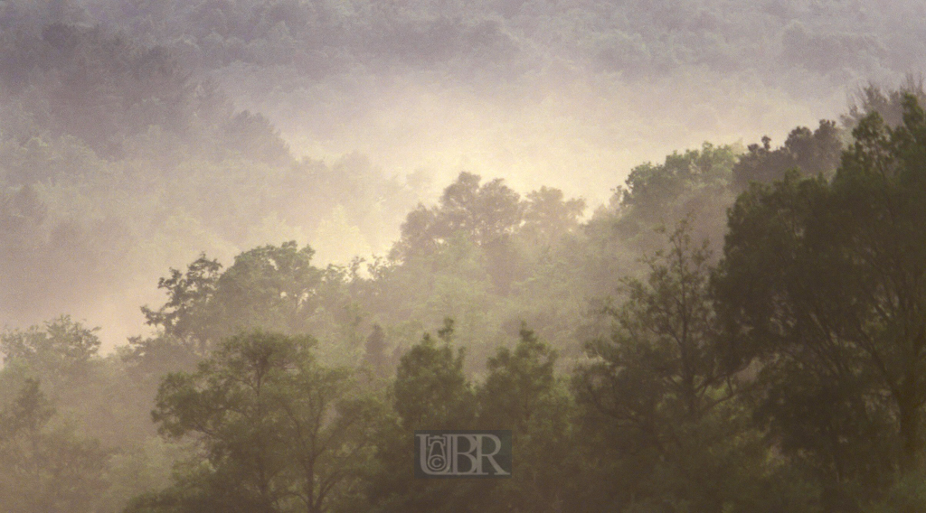03_morgendunst