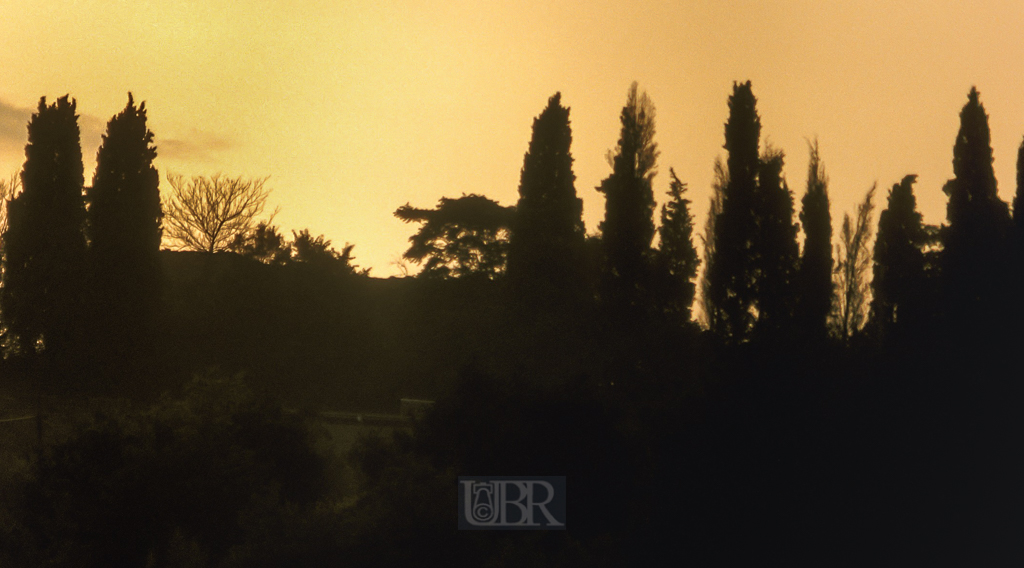 04_abendleuchten