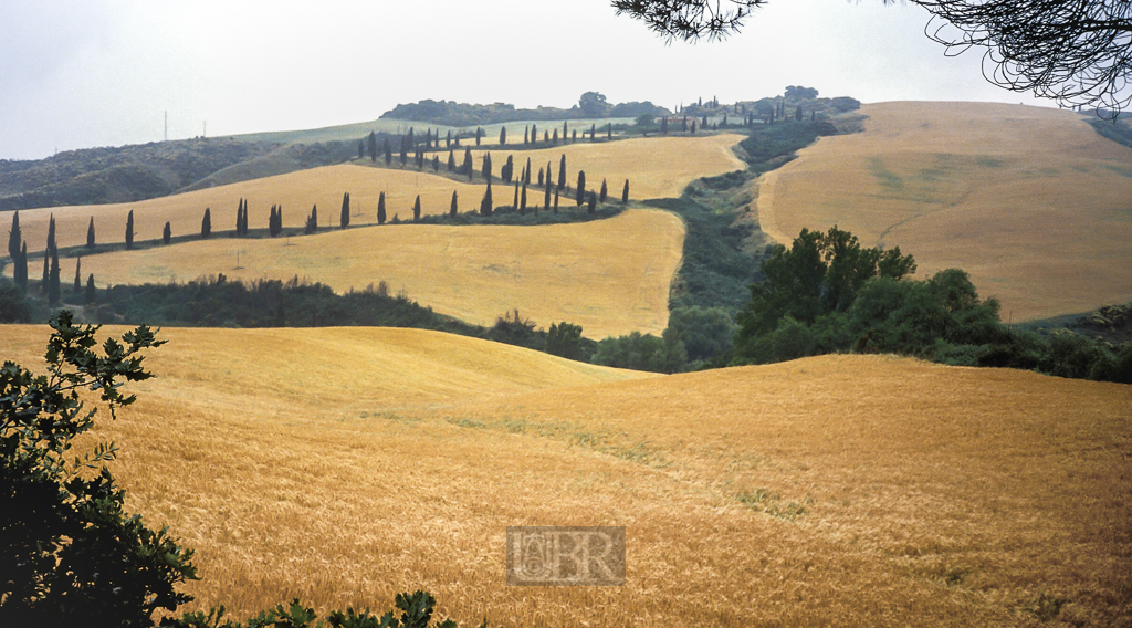 05_landschaft_typisch
