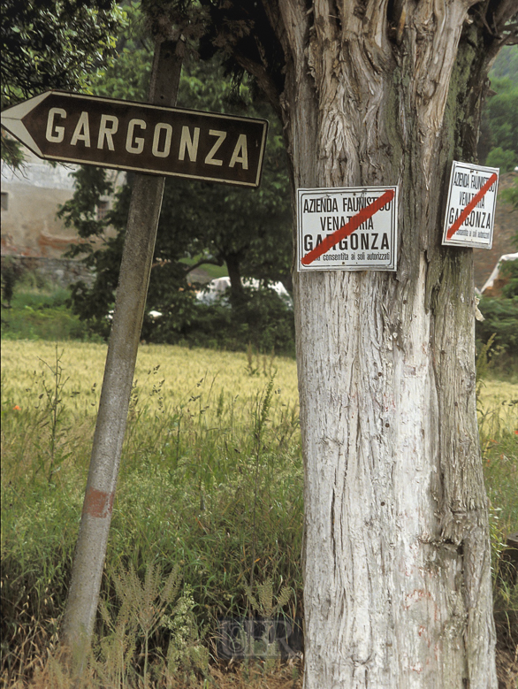 08_nach_gargonza