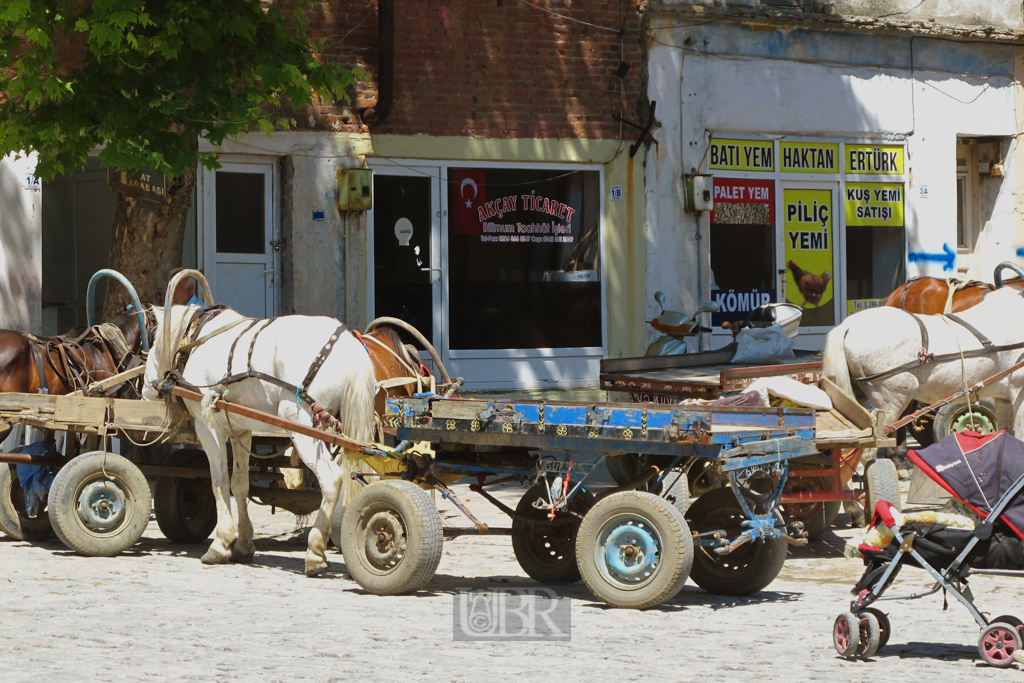 04_sarkoey_06_pferd_und_wagen