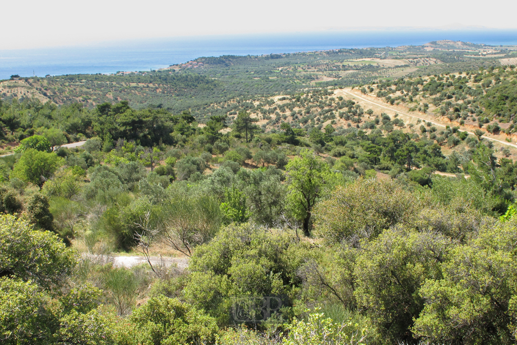 06_assos_119