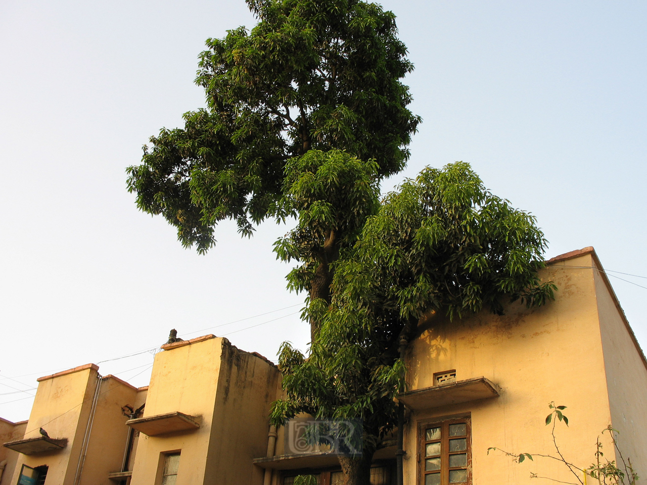 02_neu_und_alt_dehli_39