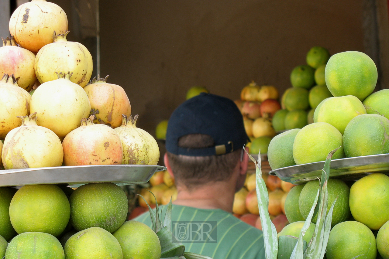 05_frucht_und_elend_01