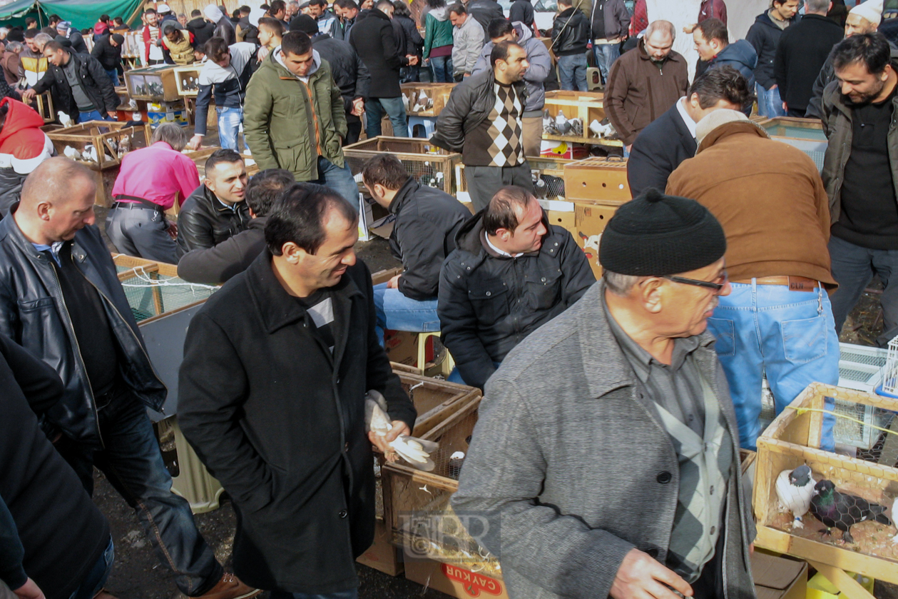 Ein Markt für Taubenhobbyisten an der Theodosianischen Mauer im Stadtteil Fatih