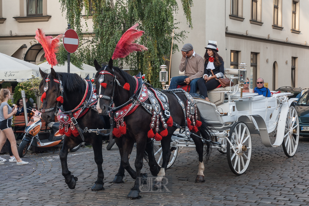 krakau_2016_14