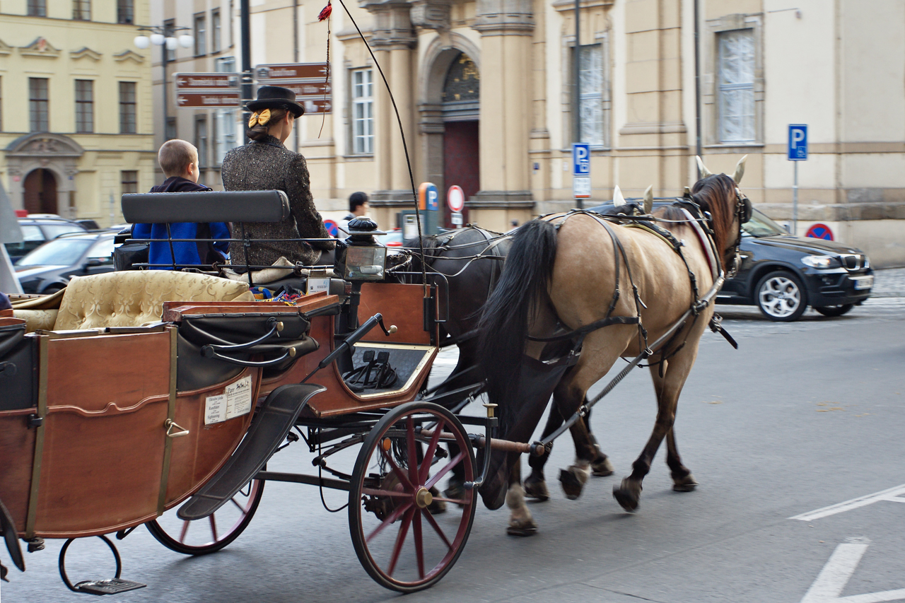 transport_kutschen_01