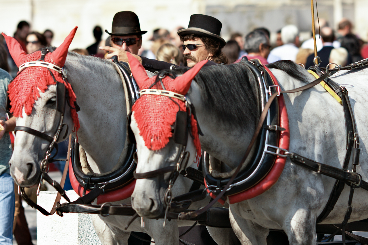 transport_kutschen_06