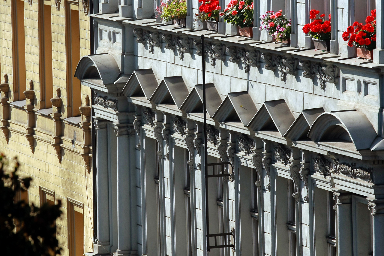 vysehrad_blumen_fenster