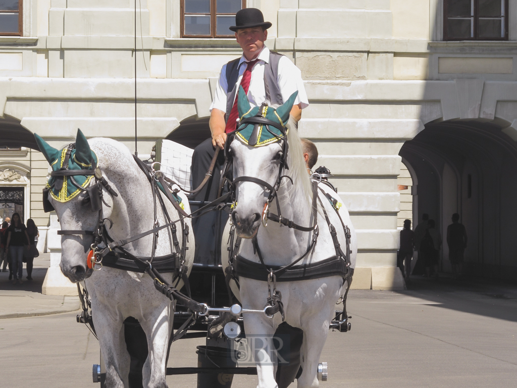 wien_hofburg_kutscher