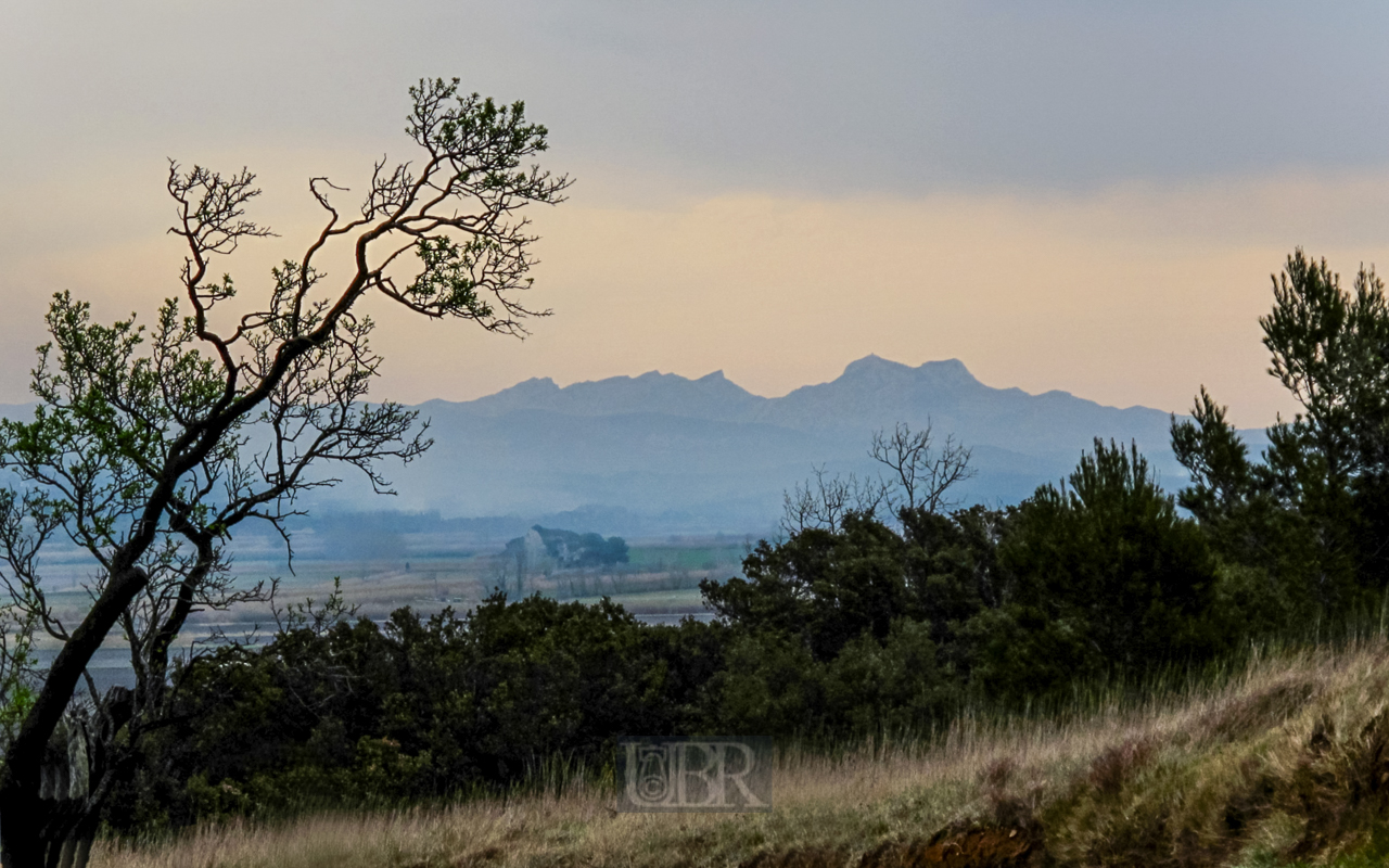 alpilles_am_morgen