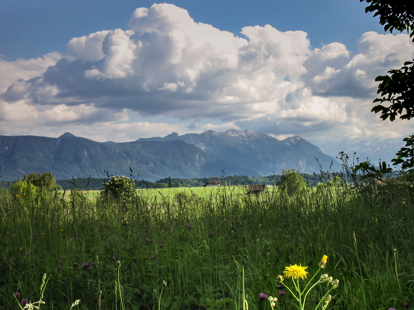 Landschaft am Riegsee