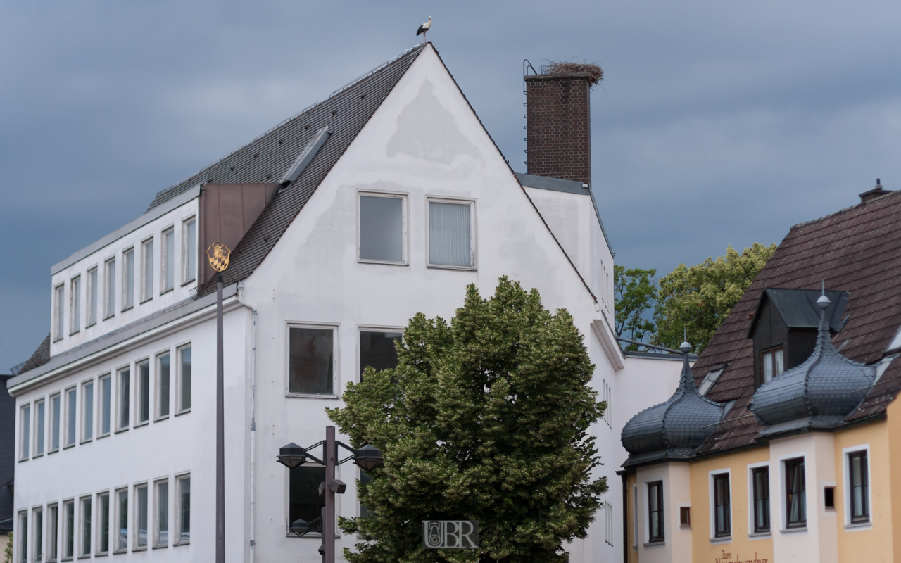 Schrobenhausen hat Platz für Störche