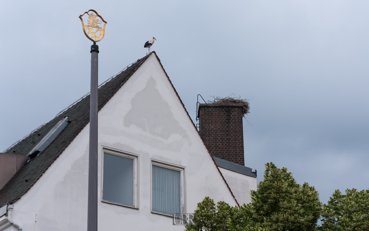 Schrobenhausen hat Platz für Störche