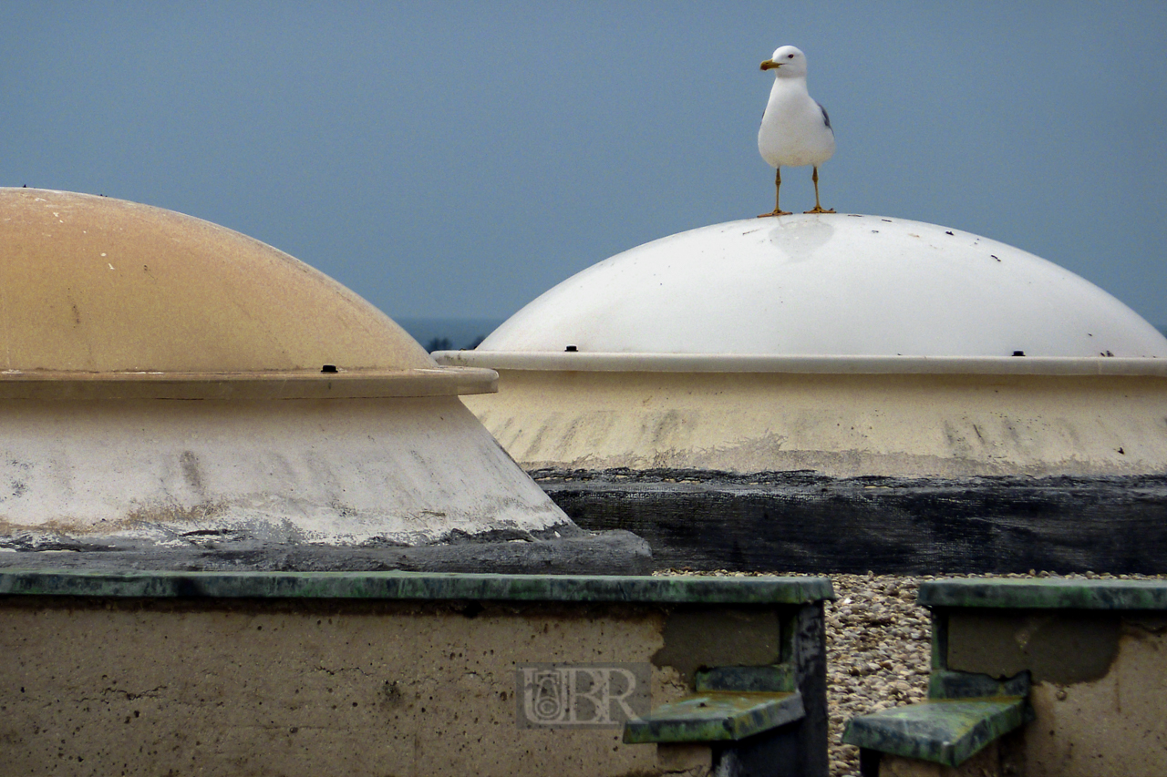 moewe_besuch