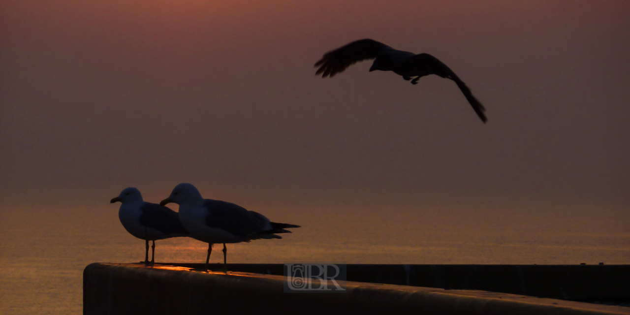 moewe_besuch_05