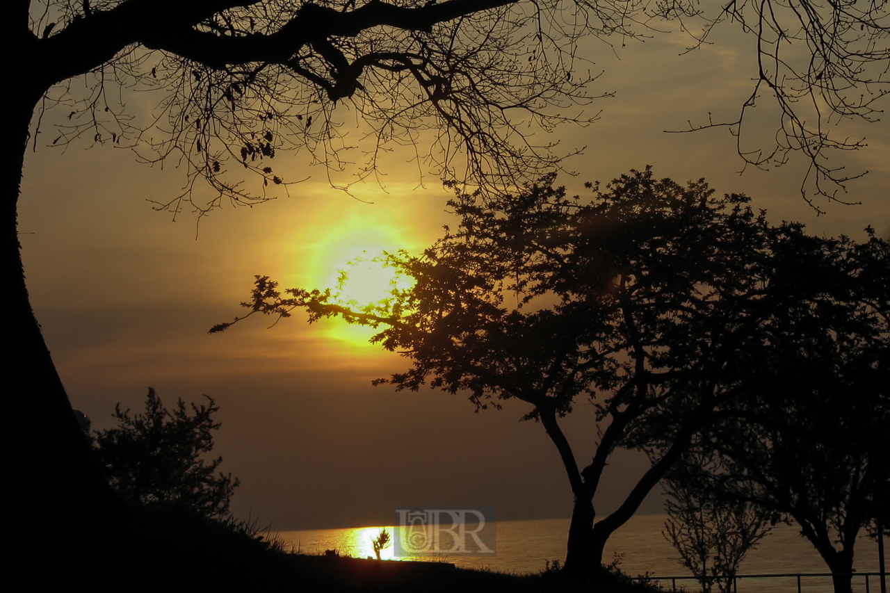 abendsonne_02_laeufer